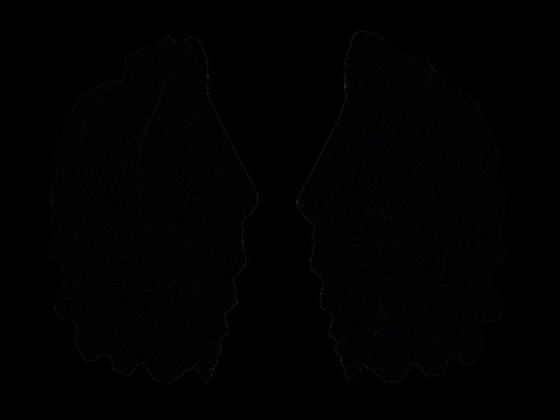 diff